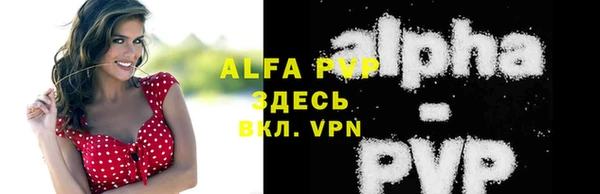 спайс Михайлов