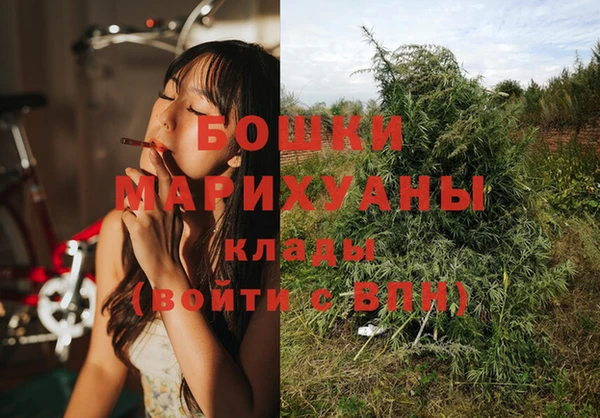 спайс Михайлов